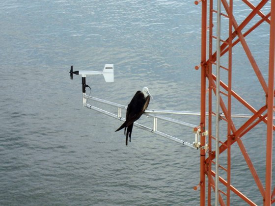 Panama Canal, November 2007 — travel photo 15