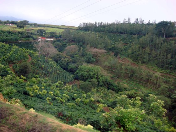 Panama Canal, November 2007 — travel photo 105