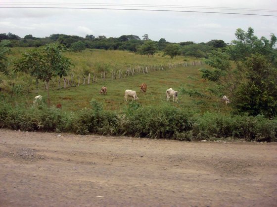 Panama Canal, November 2007 — travel photo 159
