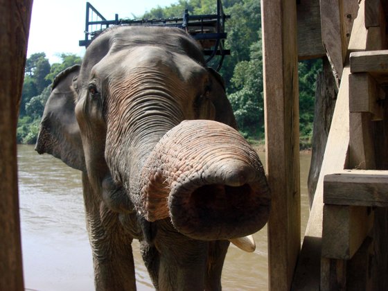 Thailand–Cambodia, October 2008 — travel photo 61