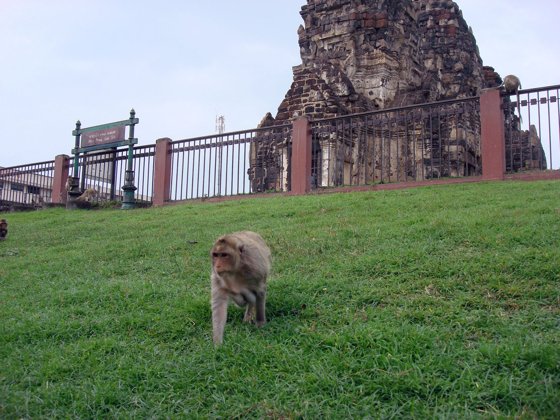Thailand–Cambodia, October 2008 — travel photo 68