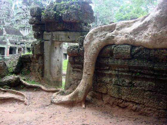 Thailand–Cambodia, October 2008 — travel photo 87