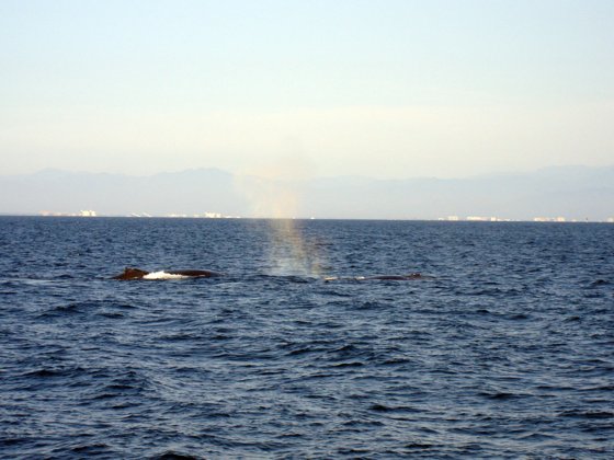 Mexican Riviera, December 2008 — travel photo 20