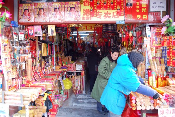 China, Xi’an & Singapore, January 2010 — travel photo 45