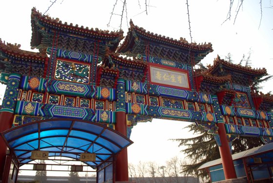 China, Xi’an & Singapore, January 2010 — travel photo 46